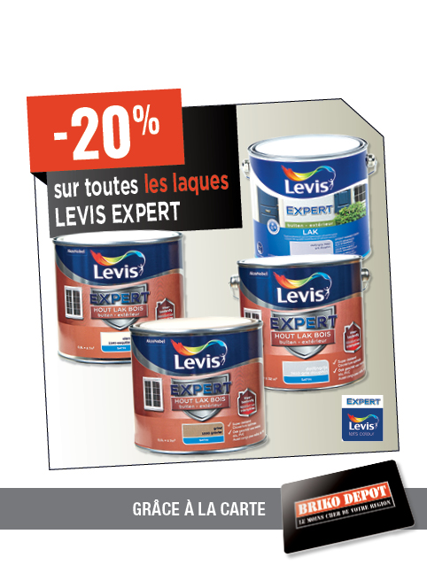 Promotion BRIKO DEPOT
